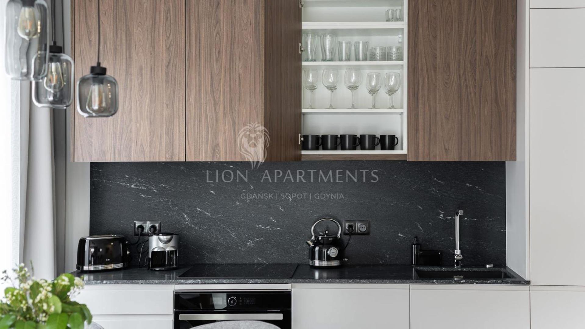 Scala 60Ca City Center Apartments & Studio By Lion Apartments Gdansk Exterior photo